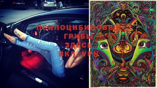 круглые Осинники