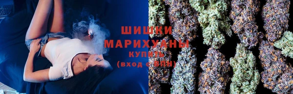 экстази Богданович