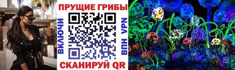 Псилоцибиновые грибы мицелий  Каспийск 
