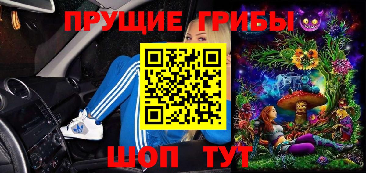 Псилоцибиновые грибы прущие грибы Каспийск