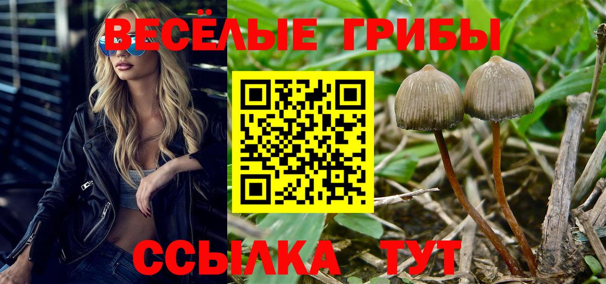 Каспийск  Галлюциногенные грибы Cubensis  Вход с VPN 