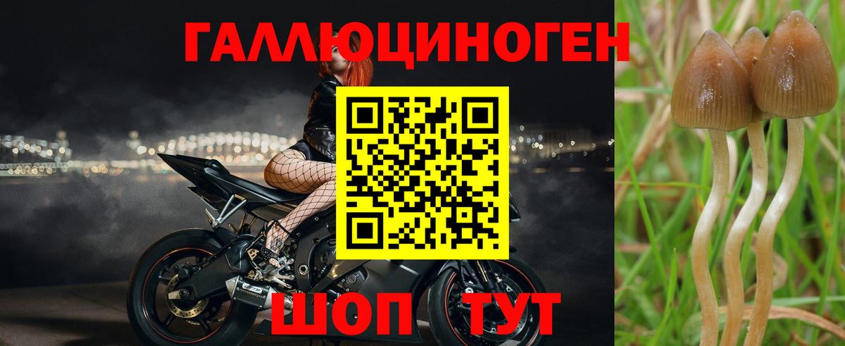 дарнет шоп  Каспийск  Галлюциногенные грибы мухоморы  Псилоцибиновые грибы Cubensis 
